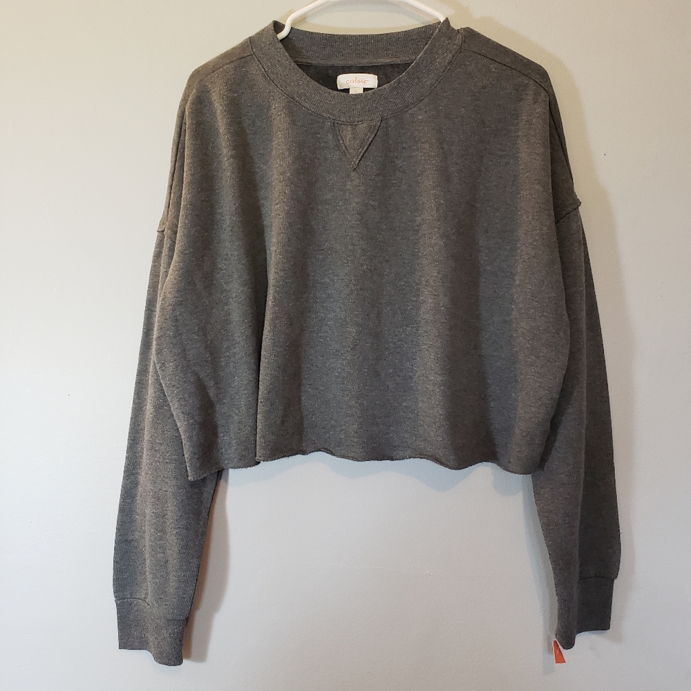 Colsie Grey Cropped Sweatshirt Size Large NWT